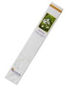 Encens Incensum Jasmin